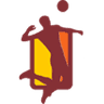 Fed Sanjuanina de Voleibol