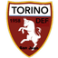 Torino Logo