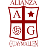 Escudo equipo