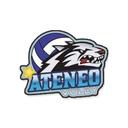 Ateneo S. del Estero Logo